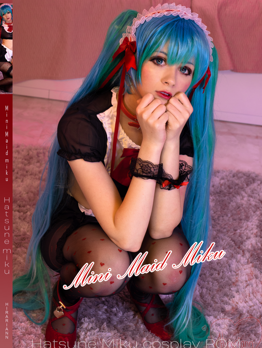 Hatsune Miku Erotic Maid HD digital data